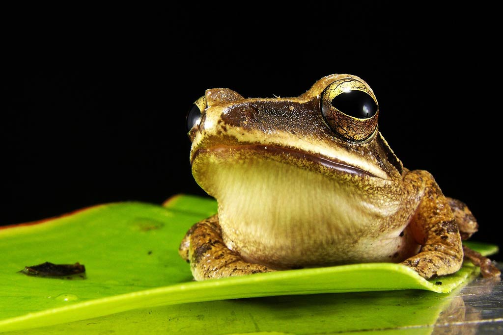siła nawyku - jak ją wykorzystać w biznesie